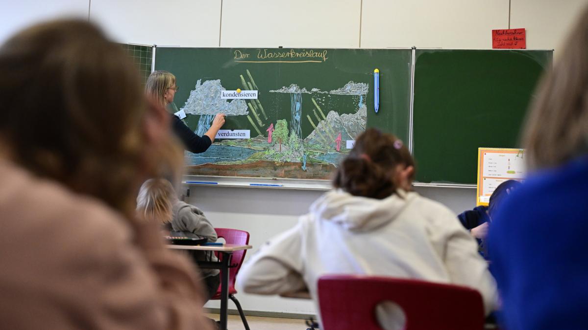 Eutin: Weber- oder Voss-Gymnasium? So haben sich die Schüler entschieden